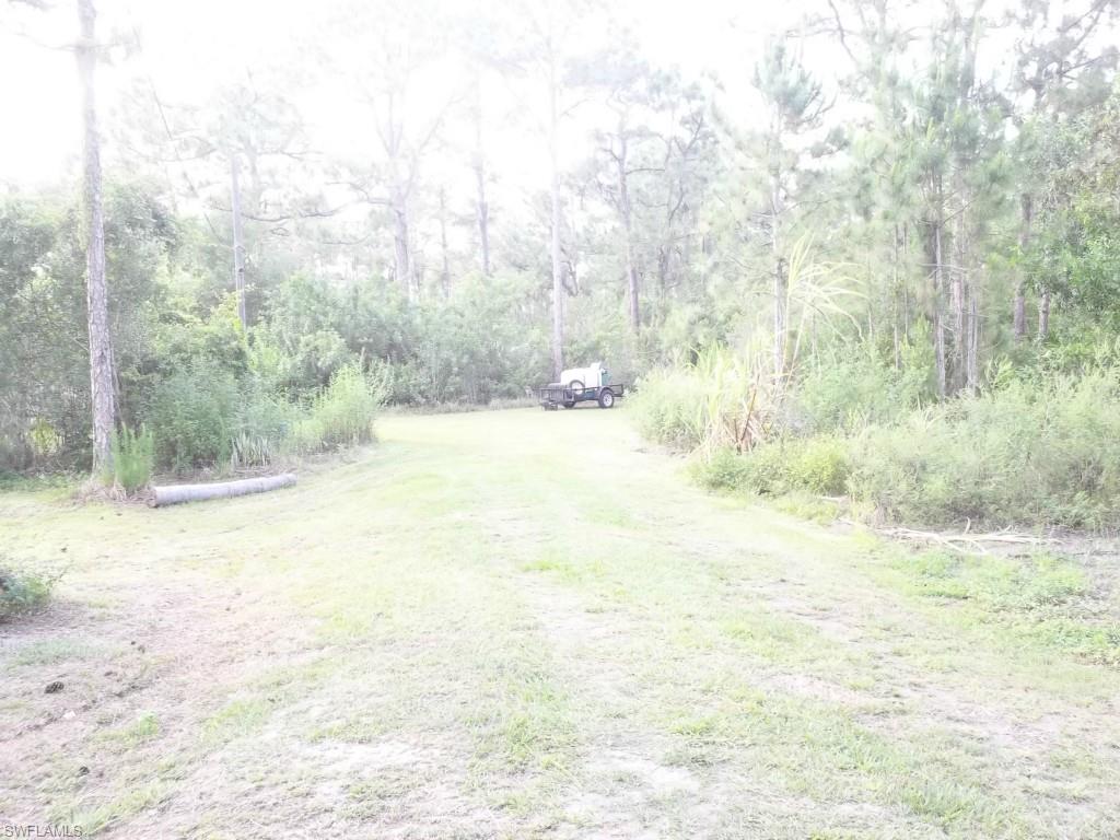 PUNTA GORDA - Residential