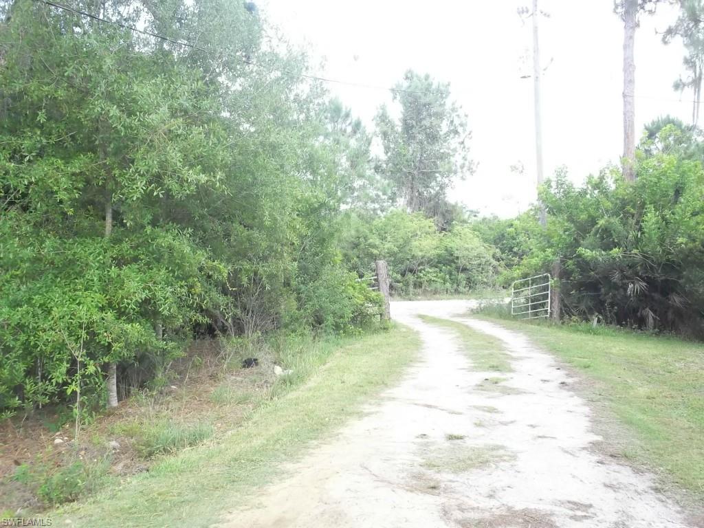 PUNTA GORDA - Residential