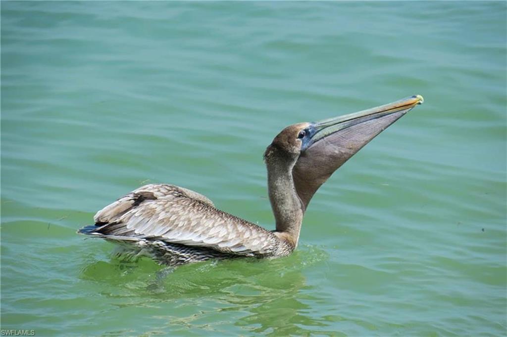 TENNIS VILLAS - Residential