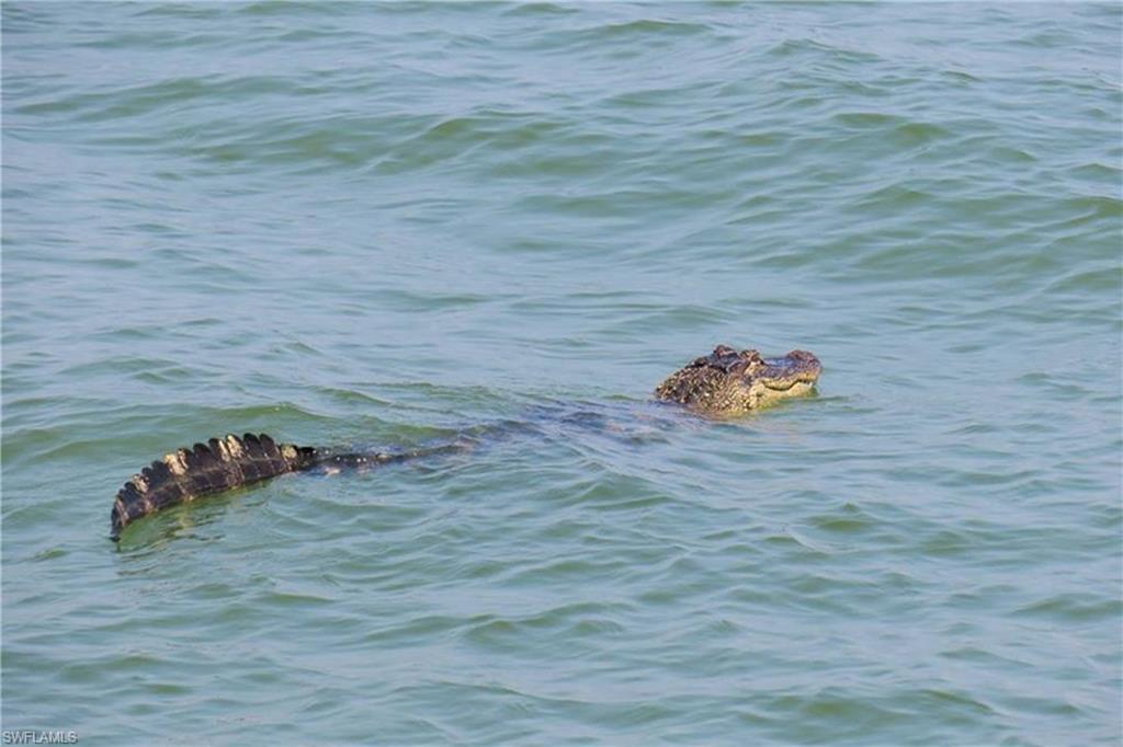 TENNIS VILLAS - Residential