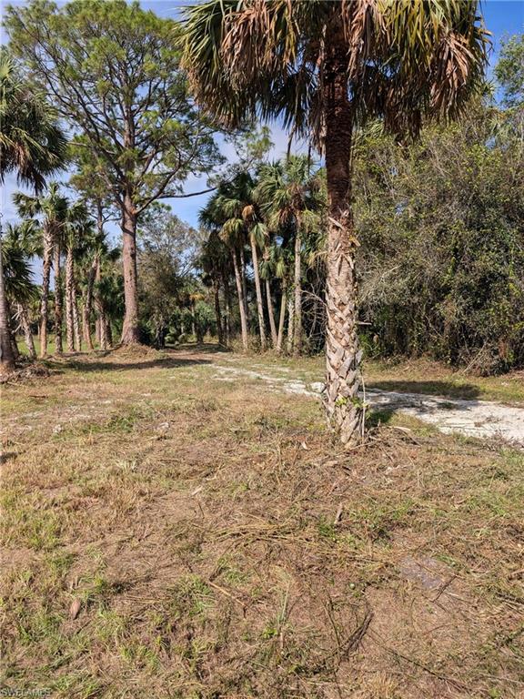 GOLDEN GATE ESTATES - Land