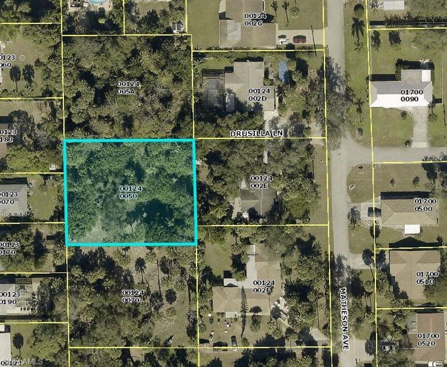 Vacant residential lot in a quiet neighborhood. Seller would like to sell the two parcels (MLS#221016079) together. These lots are legitimate TFC lots that have potential for a total of 2 duplexes per parcel or single family homes. Potential for a PUD with bonus density can be verified with Bonita Springs community development. There is legal ingress and egress off Drusilla via 30ft easement and both lots are “high and dry.” There are water and sewer lines that can be easily brought to the parcels as they are both right at Matheson/Carl circle. The parcels abut county conservation land that won’t be developed. These lots are close to restaurants, Coconut Pointe and just minutes to Bonita Beach. Great for an investment property or to build your dream home. Agents please read all confidential remarks.