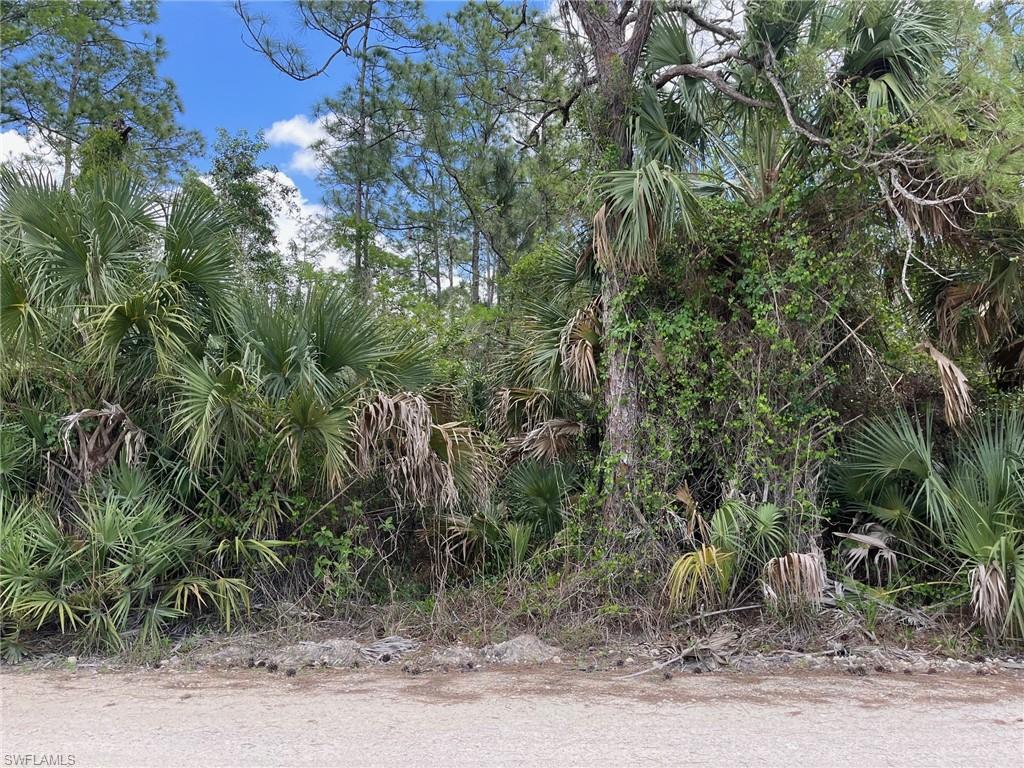 NAPLES FARM SITES - Land