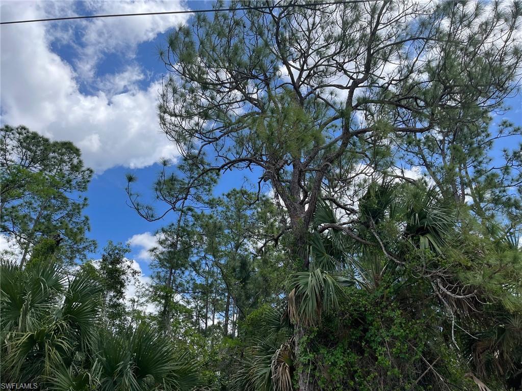 NAPLES FARM SITES - Land