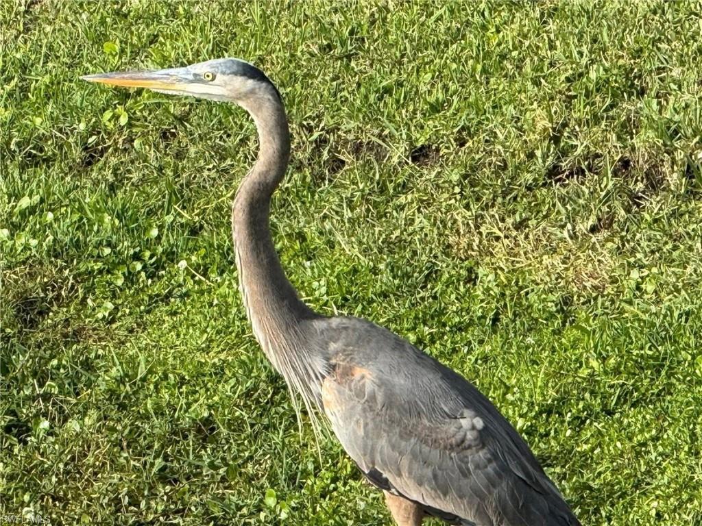 SAIL HARBOUR - Residential