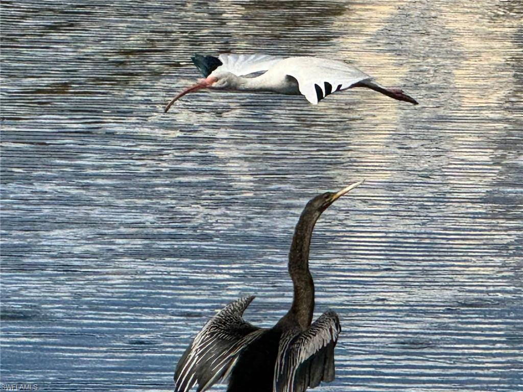 SAIL HARBOUR - Residential