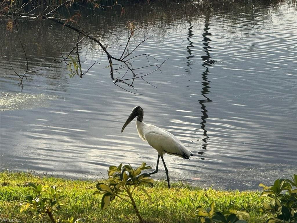 SAIL HARBOUR - Residential