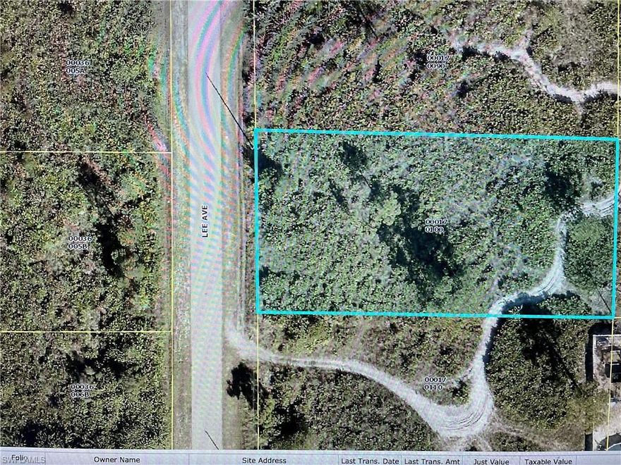 Check out this price! You will not find a lower priced half acre lot in this desirable area of Lehigh! Build your dream home and live the Florida lifestyle!
