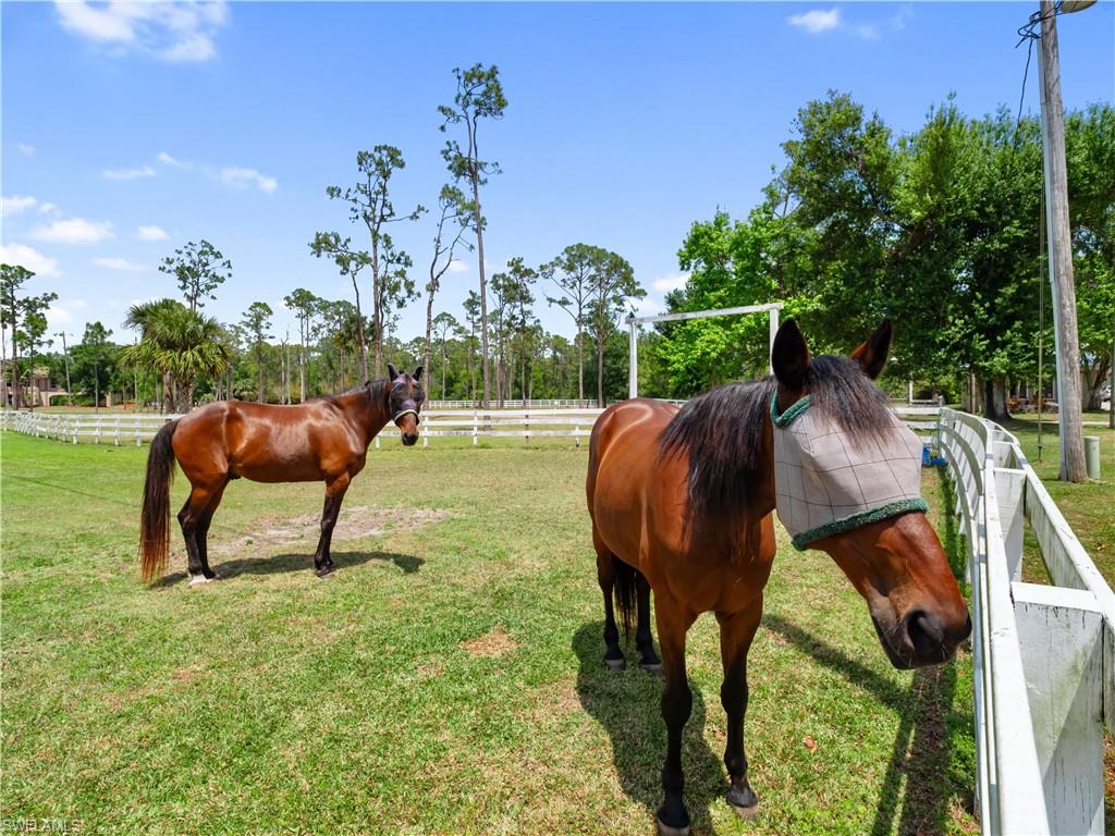 NORTH FORT MYERS - Residential