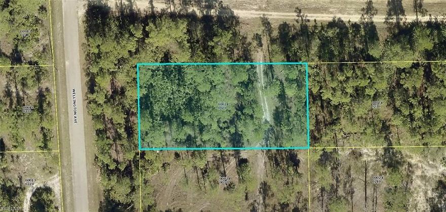 1/2 lot in growing area of Lehigh Acres.  Close to Route 80 and downtown Ft Myers.  Lot prices are moving up quickly.  Nice area of new homes.  Buy your lot now and build later.