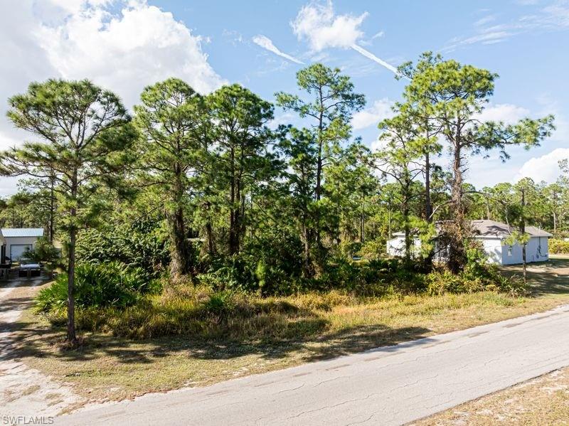 ISLAND OF HAPPINESS - Land