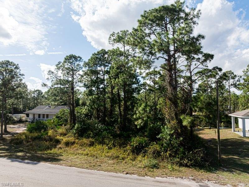 ISLAND OF HAPPINESS - Land