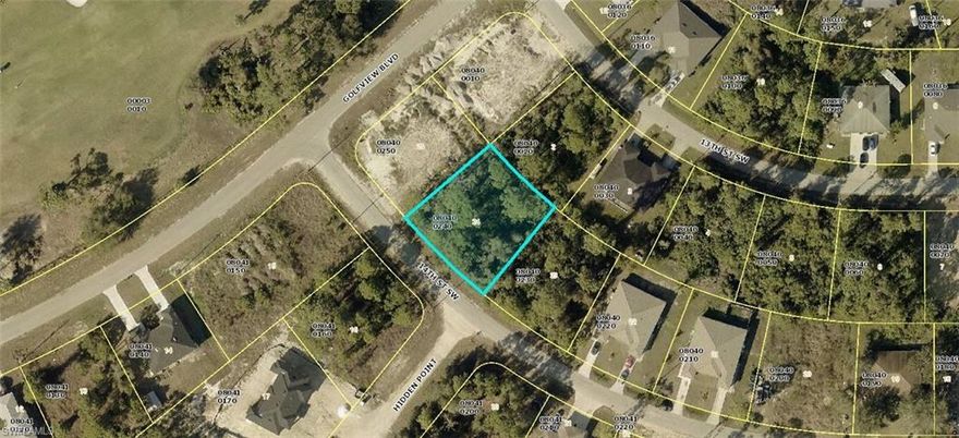 Build your investment property on this oversized duplex lot in rapidly growing SW Lehigh. Approximately .32 acre lot offers plenty of room for income producing property. Ideal location!