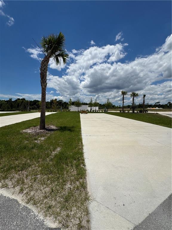 PALM BREEZE - Land