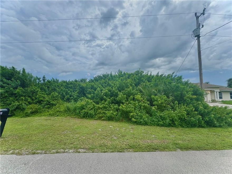 GREAT LOCATION on a quiet street with utilities! Just minutes from major amenities with a quick commute to Fort Myers! Come build your DREAM HOME or INVEST today.