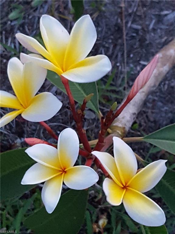 ACREAGE HEADER - Residential