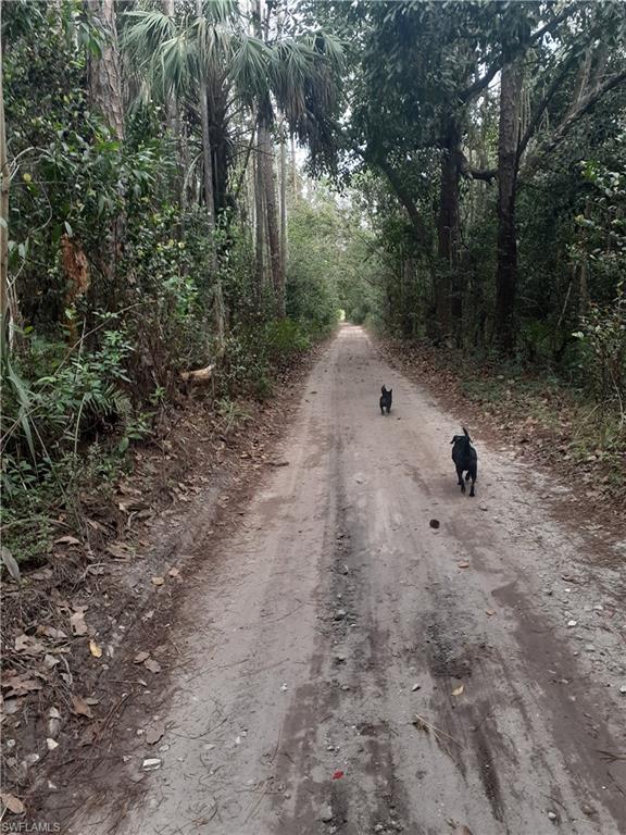 ACREAGE HEADER - Residential