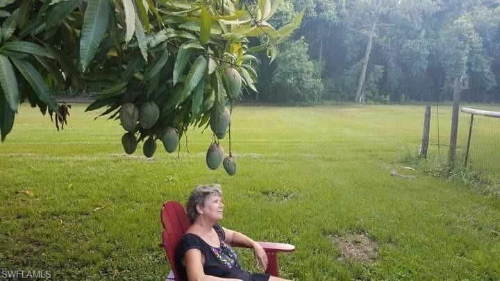 ACREAGE HEADER - Residential