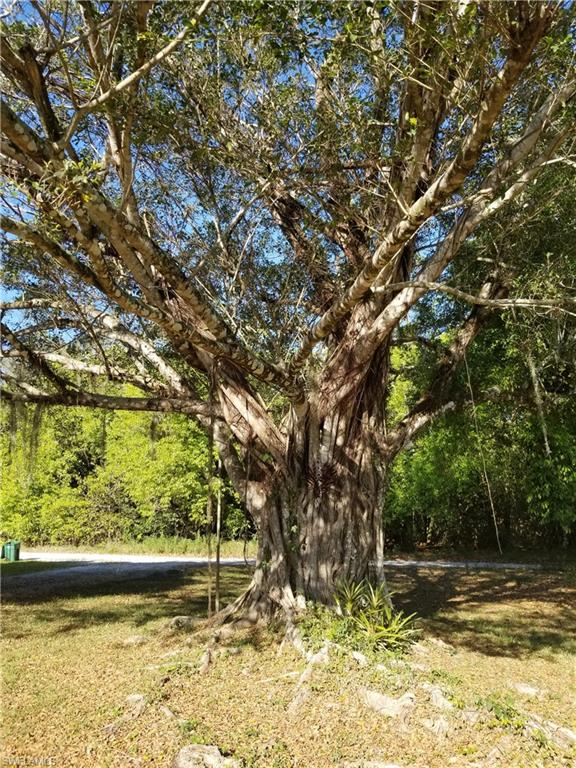 ACREAGE HEADER - Residential