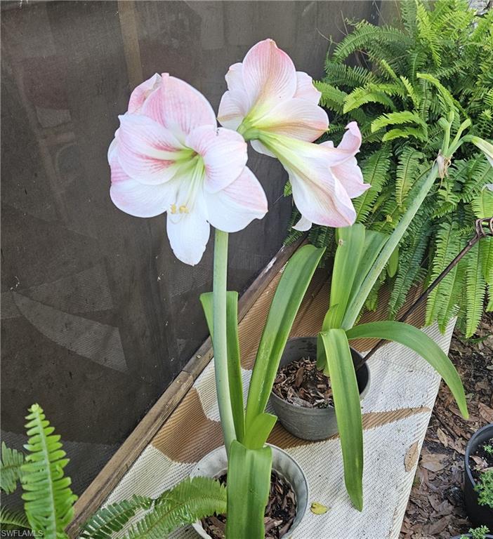 ACREAGE HEADER - Residential