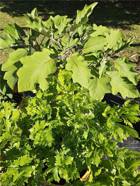 ACREAGE HEADER - Residential