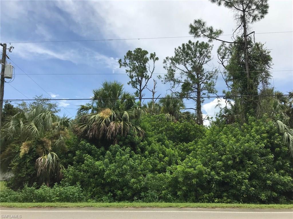 GOLDEN GATE ESTATES - Land