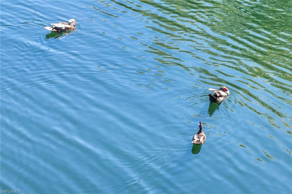 CAYMAN - Residential