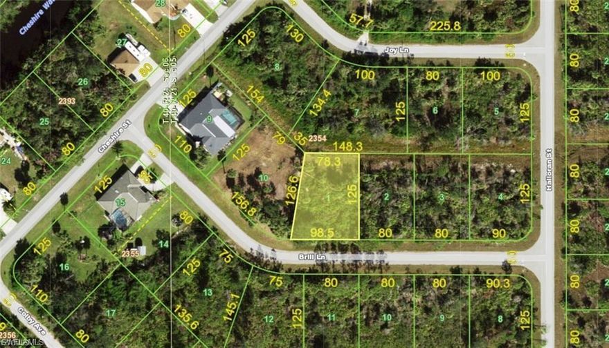 Beautiful residential lot located in a quiet and growing area of Port Charlotte. This spacious parcel offers plenty of room to build your dream home with space for a pool, garden, or outdoor living area. Surrounded by new construction and well-maintained homes, this property provides the perfect balance of privacy and convenience. Located just minutes from shopping, dining, schools, golf courses, and the beautiful Gulf beaches. An excellent opportunity for builders, investors, or anyone looking to build in one of Southwest Florida’s fastest growing communities.