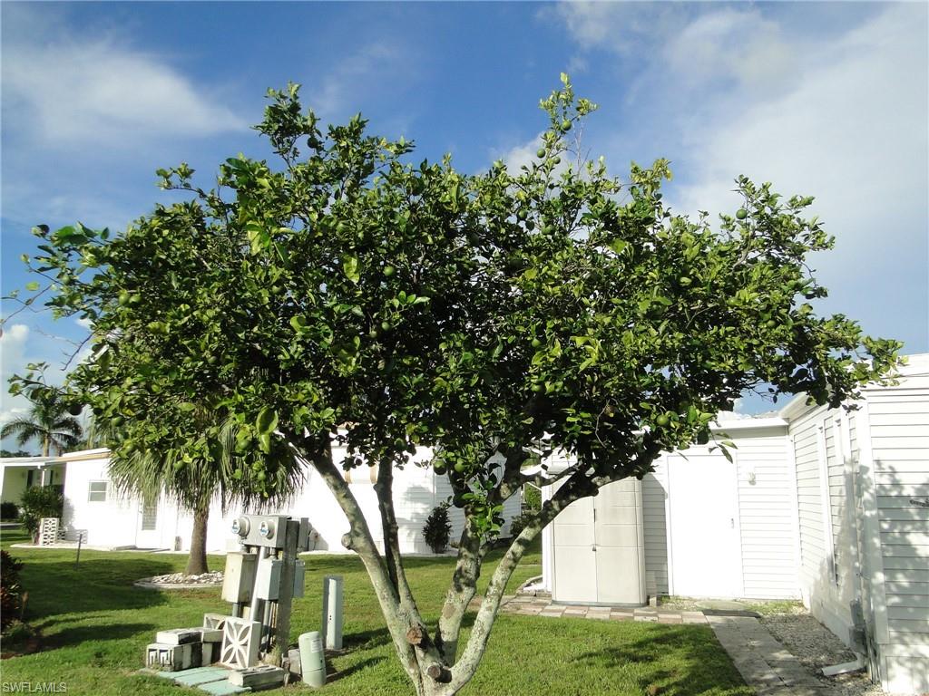 THUNDERBIRD MOBILE HOMES - Residential