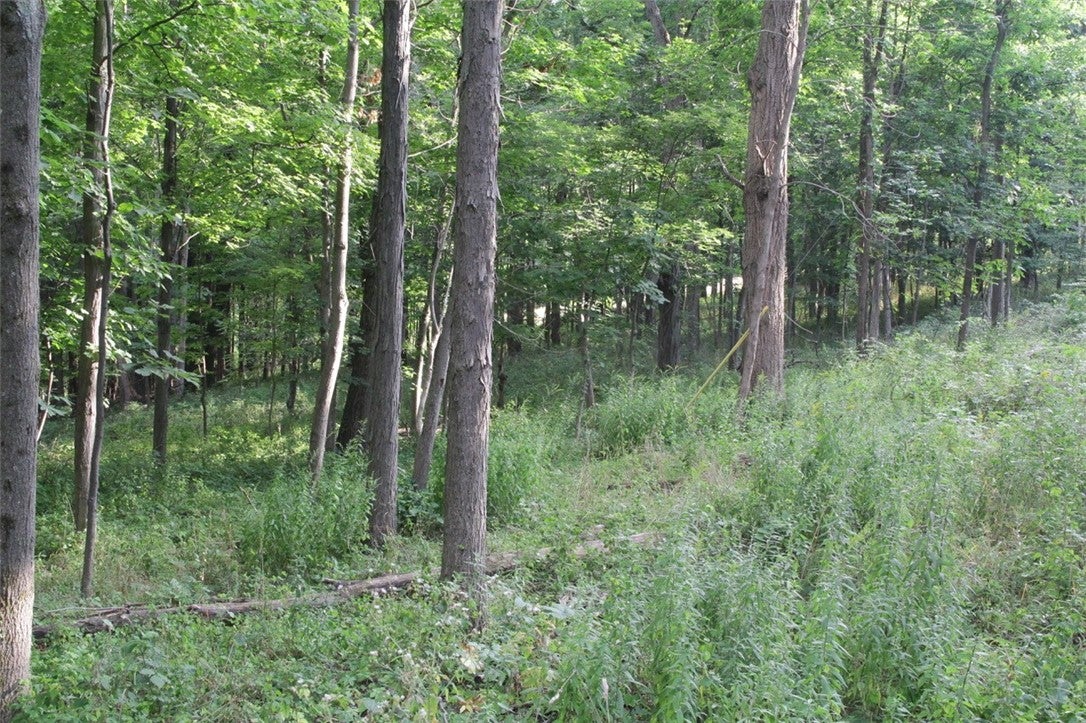 0 W Enfield Center Road