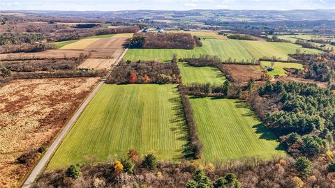 172 Ed Hill Road Freeville NY 13068