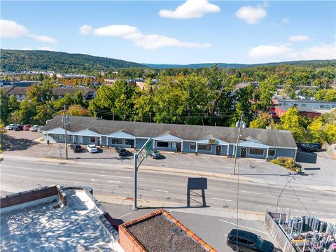 220-228 Fulton Street S. Ithaca NY 14850