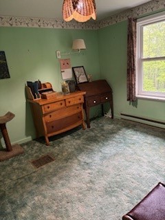 163 Nagel Hill Road, Candor, New York image 12