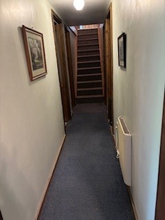 163 Nagel Hill Road, Candor, New York image 17