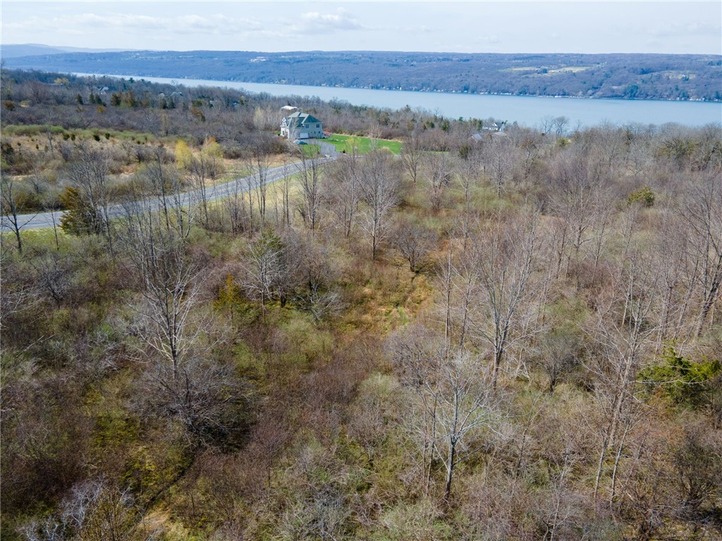 0 Blackchin Boulevard