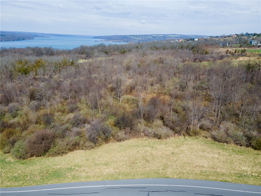 0 Blackchin Boulevard