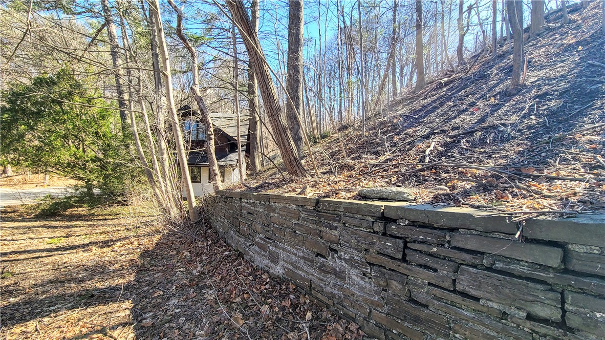 101 Thurston Avenue, Ithaca, New York image 42