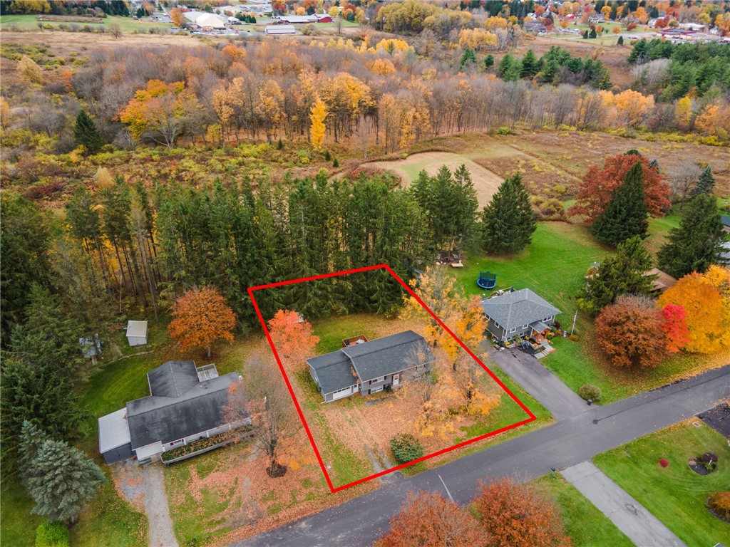 42 Lee Road, Dryden, New York image 29