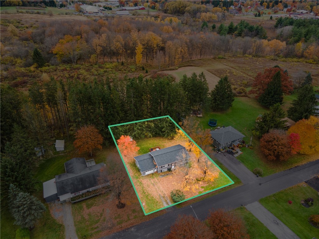 42 Lee Road, Dryden, New York image 30