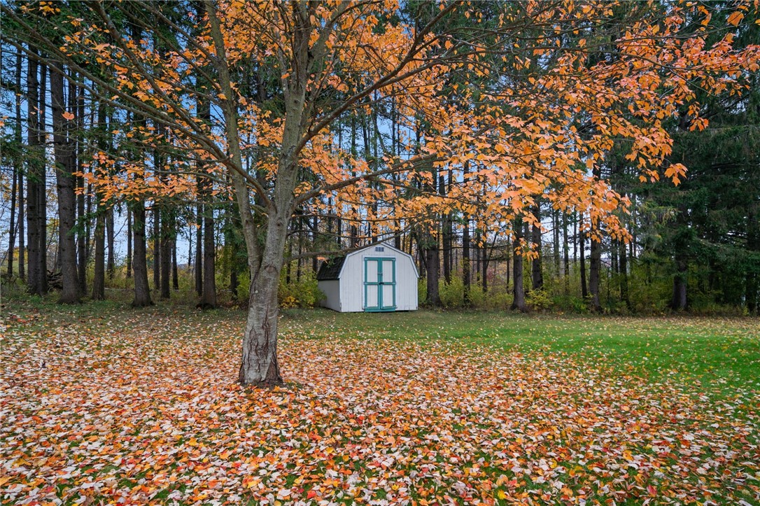 42 Lee Road, Dryden, New York image 28