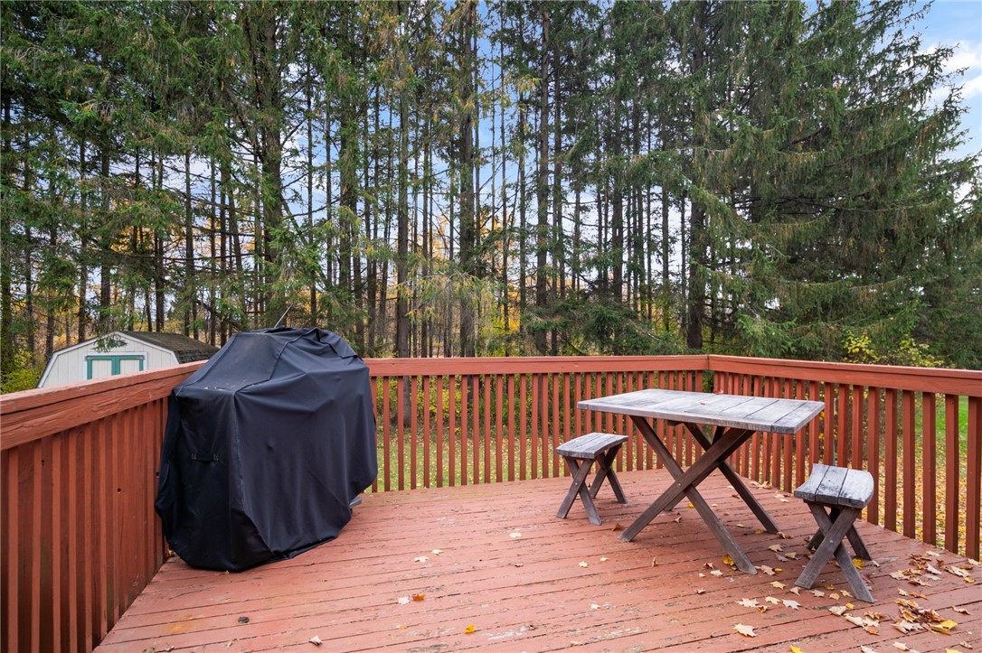 42 Lee Road, Dryden, New York image 27