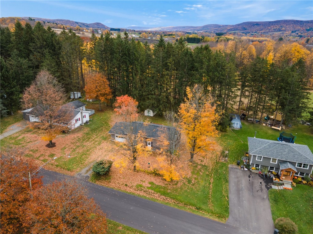 42 Lee Road, Dryden, New York image 31