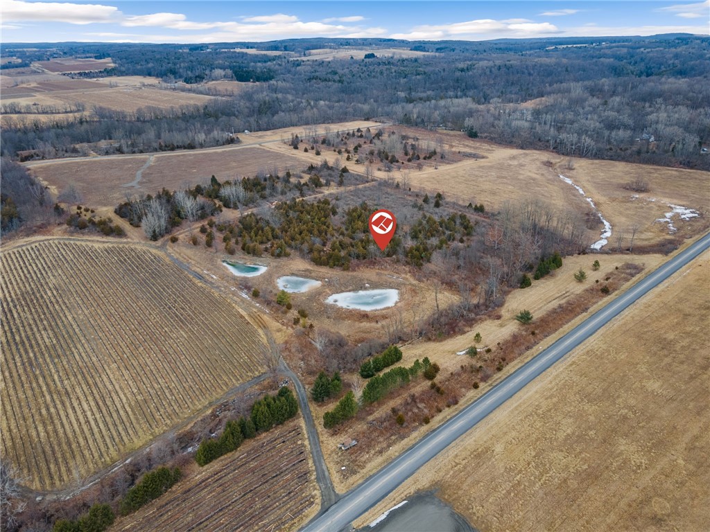 Beckhorn Road, Hector, New York image 2