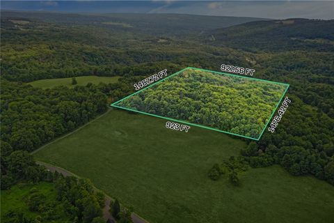 Vacant Land For Sale - Slators Lane<br/> Tompkins County, Newfield, NY 14867