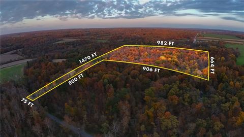 Vacant Land For Sale - Salmon Creek Road<br/> Tompkins County, Lansing, NY 14882