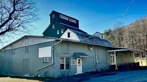 Homes For Sale - 7 Rich Street<br/> Candor, NY 13743