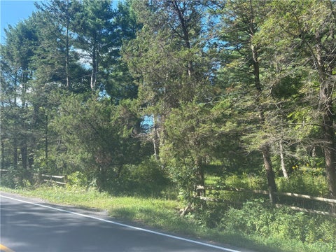 Vacant Land For Sale - 520 Sheldon Road<br/> Dryden, NY 13068