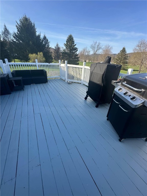 35 Catatonk Creek Rd Rd, Candor, New York image 34