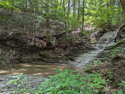 Vacant Land For Sale - Elmira Road<br/> Newfield, NY 14867