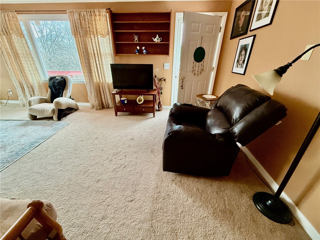 52 Spring Run Road, Dryden, New York image 9